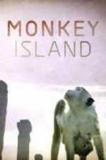 Watch Monkey Island Xmovies8