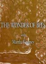 Watch The Wonder of Bees with Martha Kearney Xmovies8