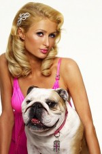 Watch Paris Hilton's British Best Friend Xmovies8