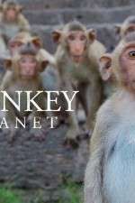 Watch Monkey Planet Xmovies8