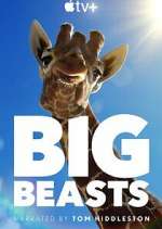 Watch Big Beasts Xmovies8