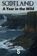 Watch Scotland: A Wild Year Xmovies8