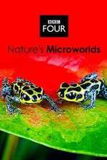 Watch Natures Microworlds Xmovies8