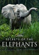 Watch Secrets of the Elephants Xmovies8