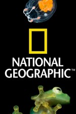 Watch Nat Geo Amazing! Xmovies8