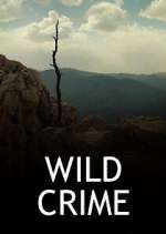 Watch Wild Crime Xmovies8