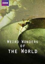 Watch Weird Wonders of the World Xmovies8