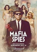 Watch Mafia Spies Xmovies8