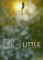 Watch Big Little Journeys Xmovies8