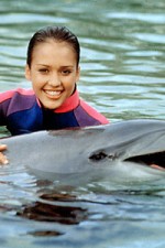 Watch Flipper (The New Adventures of Flipper) Xmovies8