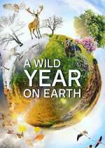 Watch A Wild Year on Earth Xmovies8