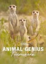 Watch Animal Genius Xmovies8