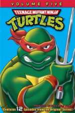 Watch Teenage Mutant Ninja Turtles Xmovies8
