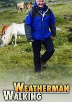 Watch Weatherman Walking Xmovies8