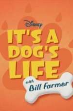 Watch It\'s a Dog\'s Life with Bill Farmer Xmovies8