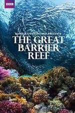 Watch Great Barrier Reef with David Attenborough Xmovies8