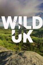 Watch Wild UK Xmovies8
