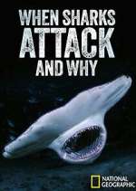 Watch When Sharks Attack... And Why Xmovies8