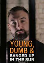 Watch Young Dumb & Banged Up in the Sun Xmovies8