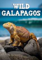 Watch Wild Galapagos Xmovies8