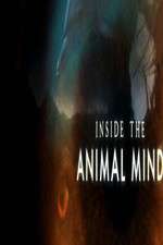 Watch Inside the Animal Mind Xmovies8