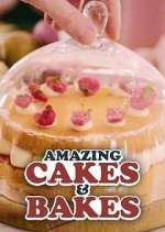 Watch Amazing Cakes & Bakes Xmovies8