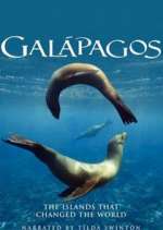 Watch Galapagos Xmovies8