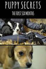 Watch Puppy Secrets: The First Six Months Xmovies8