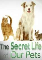 Watch The Secret Life of Our Pets Xmovies8
