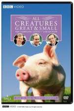 Watch All Creatures Great and Small Xmovies8