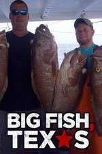Watch Big Fish Texas Xmovies8