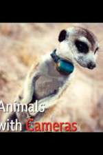 Watch Animals with Cameras Xmovies8