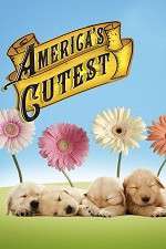 Watch America's Cutest Xmovies8