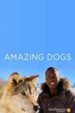 Watch Amazing Dogs Xmovies8