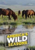 Watch America's Wild Seasons Xmovies8