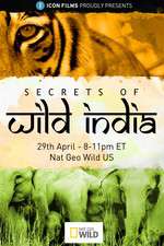 Watch Secrets of Wild India Xmovies8