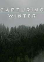 Watch Capturing Winter Xmovies8