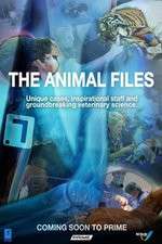 Watch The Animal Files Xmovies8