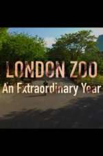 Watch London Zoo: An Extraordinary Year Xmovies8