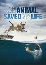 Watch An Animal Saved My Life Xmovies8