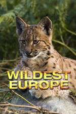 Watch Wildest Europe Xmovies8