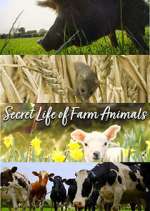 Watch Secret Life of Farm Animals Xmovies8