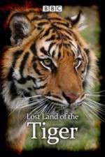 Watch Lost Land of the Tiger Xmovies8