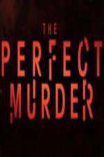 Watch The Perfect Murder Xmovies8