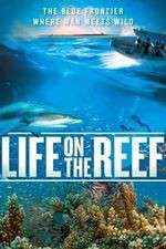 Watch Life on the Reef Xmovies8