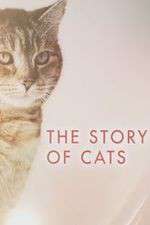 Watch The Story of Cats Xmovies8