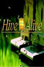 Watch Hive Alive Xmovies8