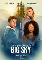 Watch Big Sky Xmovies8