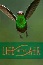 Watch Life in the Air Xmovies8