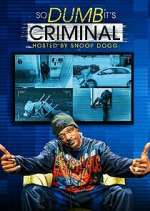 Watch So Dumb It's Criminal Xmovies8